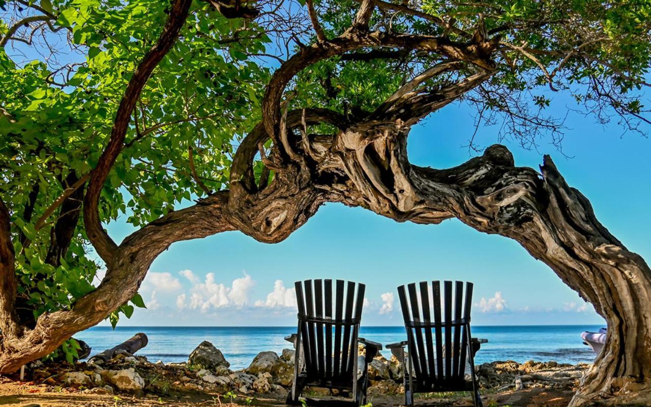 Jakes Hotel Treasure Beach Bagian luar foto