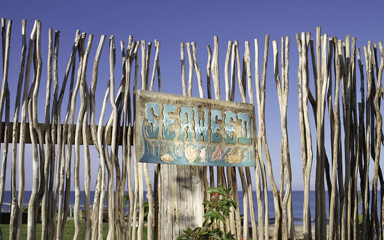Jakes Hotel Treasure Beach Bagian luar foto